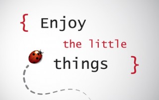 Inspirational Quote. "Enjoy the Little Things" On a Grey Background With a Ladybird